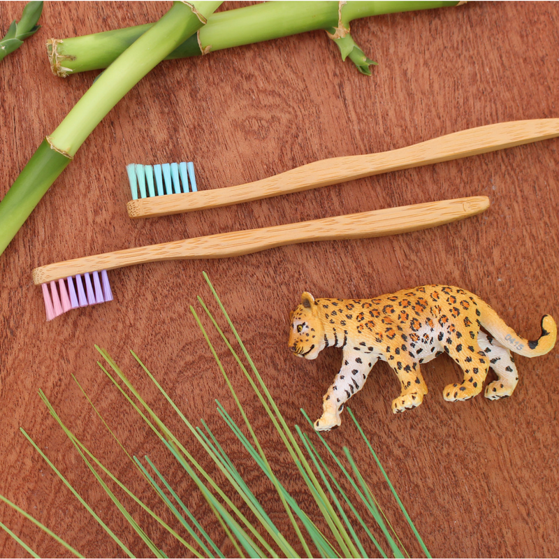 The Future is Bamboo Kids Toothbrush