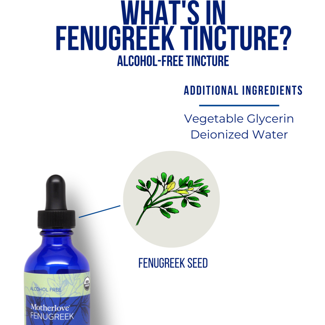 Motherlove Fenugreek Alcohol Free