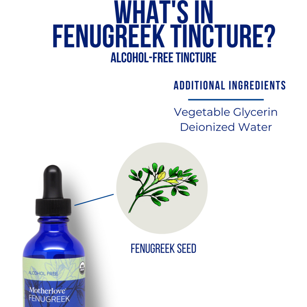 Motherlove Fenugreek Alcohol Free