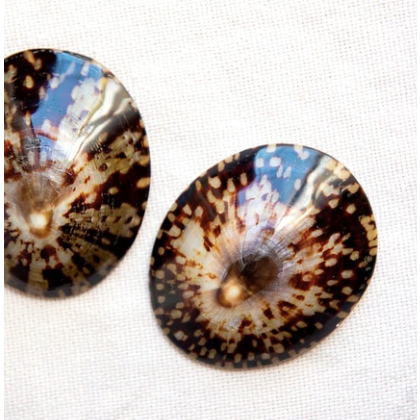 Shellies Breastfeeding Seashells