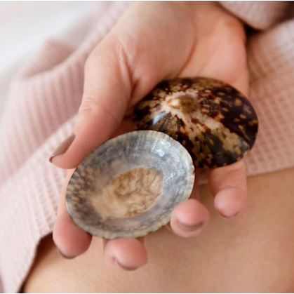 Shellies Breastfeeding Seashells