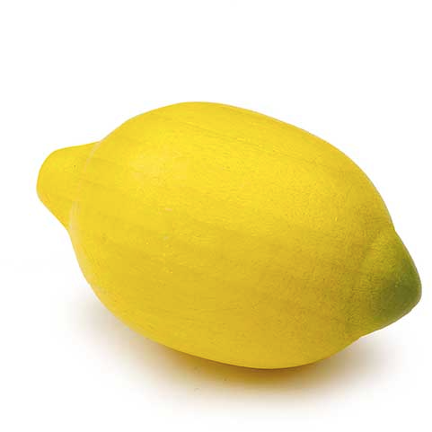 Erzi Lemon Pretend Food