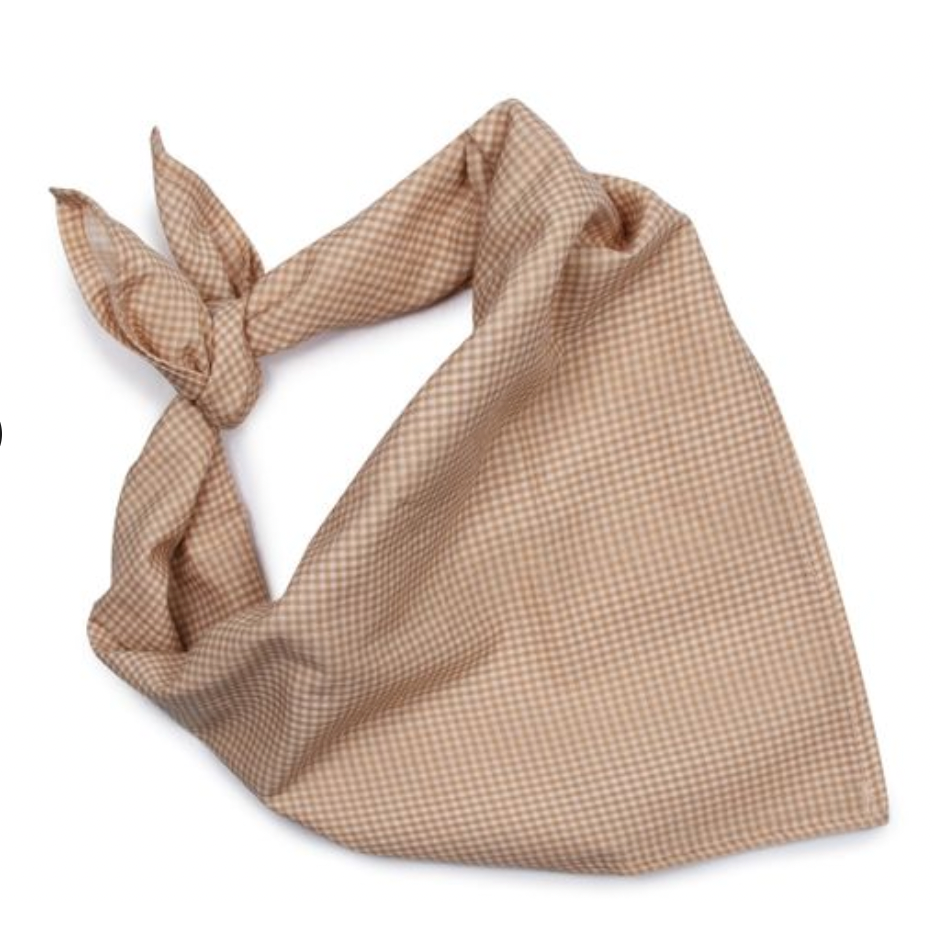 Collegien Gingham Bandana