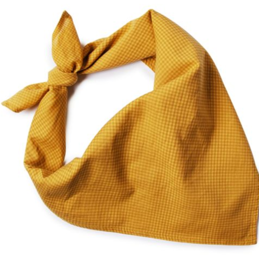 Collegien Gingham Bandana