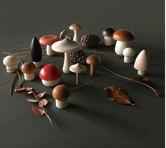Moon Picnic Forest Mushroom in a Box