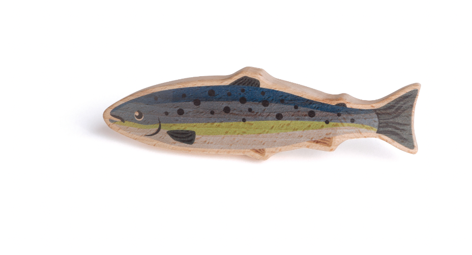 Erzi Salmon Whole